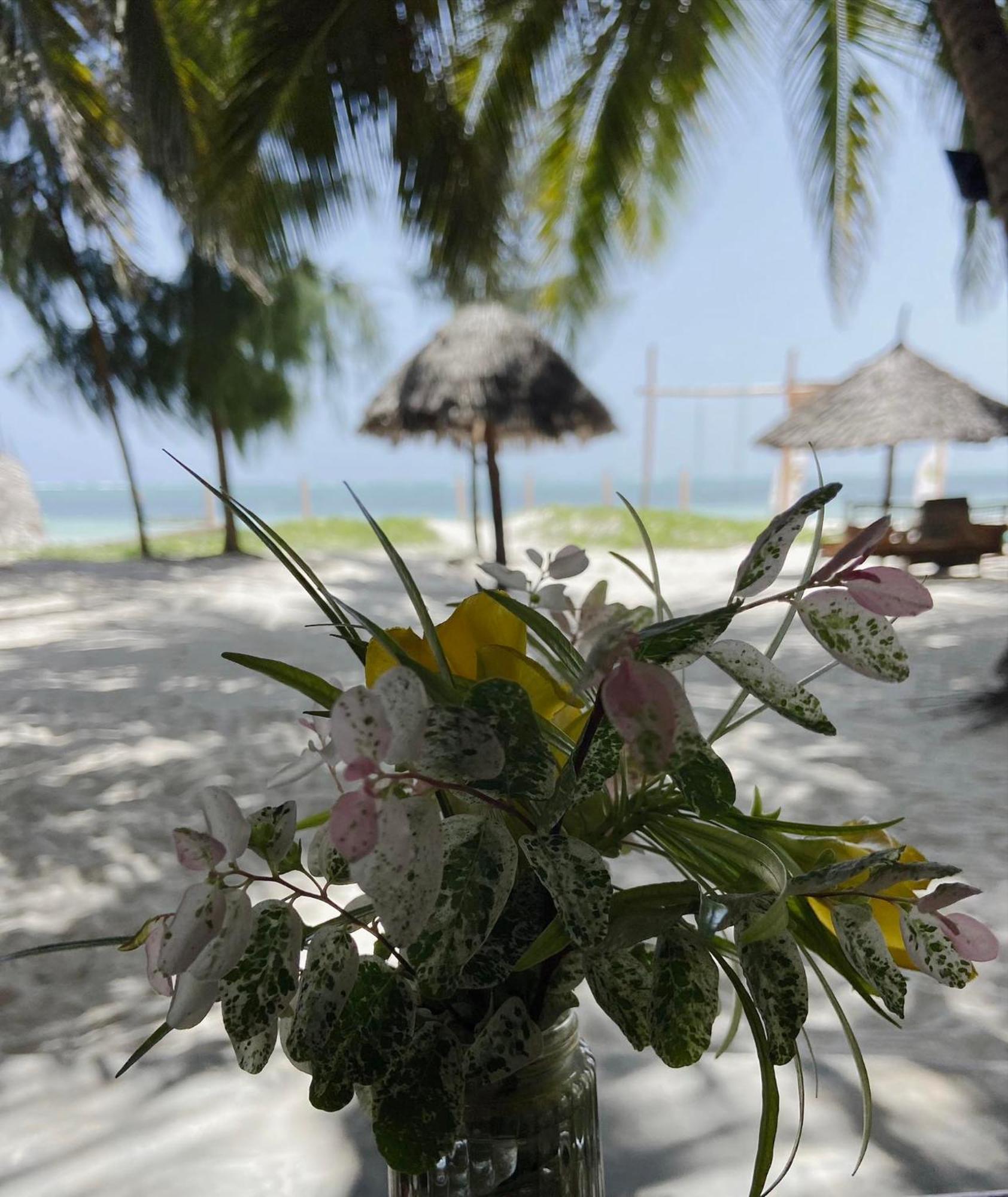Mintaka Boutique Hotel Bwejuu Kültér fotó